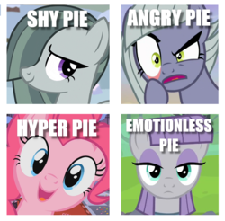 Size: 781x769 | Tagged: safe, limestone pie, marble pie, maud pie, pinkie pie, earth pony, pony, g4, hearthbreakers, female, image macro, mare, meme, pie sisters, siblings, sisters, text