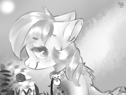 Size: 1600x1200 | Tagged: safe, artist:brainiac, roseluck, earth pony, pony, g4, back fluff, chest fluff, collar, digital art, ear fluff, female, flower, fluffy, leash, looking at you, mare, monochrome, pet tag, pony pet, profile, rose, rosepet, sitting, smiling, solo