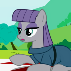 Size: 924x924 | Tagged: safe, artist:agrol, screencap, maud pie, earth pony, pony, how ponies made the season 4, g4, clothes, cropped, female, lidded eyes, mare, solo, wut face