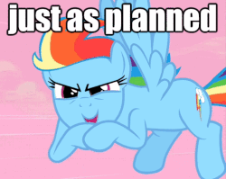 Size: 500x398 | Tagged: safe, edit, edited screencap, screencap, rainbow dash, pony, g4, animated, female, gif, image macro, just as planned, meme, solo, text