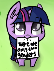 Size: 1080x1419 | Tagged: safe, artist:artiks, edit, twilight sparkle, pony, unicorn, g4, background pony strikes again, downvote bait, female, filly, looking up, meme, mouth hold, mouthpiece, op is a duck, op is trying to start shit, op started shit, trolling, younger