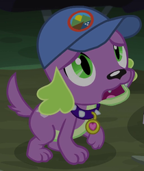 Size: 519x619 | Tagged: safe, screencap, spike, spike the regular dog, dog, equestria girls, g4, my little pony equestria girls: legend of everfree, camp everfree logo, cap, cropped, hat, male, paws