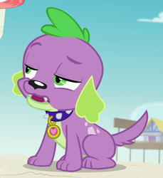 Size: 742x811 | Tagged: safe, screencap, spike, spike the regular dog, dog, equestria girls, equestria girls series, forgotten friendship, g4, cropped, male, paws
