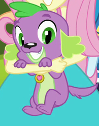 Size: 242x311 | Tagged: safe, screencap, fluttershy, spike, spike the regular dog, dog, equestria girls, equestria girls specials, g4, my little pony equestria girls: better together, my little pony equestria girls: forgotten friendship, cute, female, paws, smiling, spikabetes