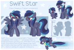Size: 3000x2048 | Tagged: safe, artist:cinnamontee, oc, oc only, oc:swift star, pegasus, pony, clothes, female, high res, mare, reference sheet, solo, uniform, wonderbolt trainee uniform