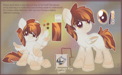 Size: 1200x745 | Tagged: safe, artist:tiothebeetle, oc, oc only, oc:tio's ponysona, pegasus, pony, female, reference sheet, solo, text