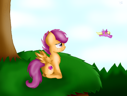 Size: 1024x768 | Tagged: safe, artist:enviaart, scootaloo, pegasus, pony, g4, crying, cutie mark, flying, sad, scootaloo can't fly, scootasad, the cmc's cutie marks, tree