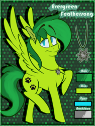 Size: 1273x1681 | Tagged: safe, artist:phantomlemon, oc, oc:evergreen feathersong, pegasus, pony, paw prints, reference sheet, riptire, ych result