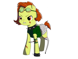 Size: 3600x2700 | Tagged: safe, artist:dumbwoofer, oc, oc:trippo, pony, fallout equestria, amputee, angry, armor, blood, clothes, collar, female, goggles, high res, knife, mare, mean, prosthetic limb, prosthetics, raider, scar, solo, spikes, vest