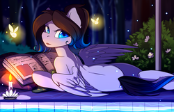Size: 4800x3100 | Tagged: safe, artist:hakkids2, oc, oc only, oc:ice energy, pegasus, pony, beautiful, book, bush, candle, cute, femboy, fire, flower, glowing, looking at you, male, night, solo, stallion, trap, tree, water, ych result