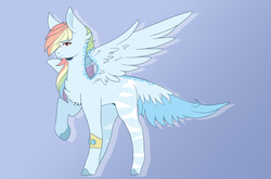 Size: 2048x1352 | Tagged: safe, artist:sora-choi, rainbow dash, pegasus, pony, g4, blaze (coat marking), bracelet, coat markings, dappled, facial markings, female, g5 concept leak style, g5 concept leaks, gradient background, jewelry, looking at you, mare, missing cutie mark, rainbow dash (g5 concept leak), raised hoof, redesign, solo, spread wings, tail feathers, wings