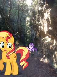 Size: 1024x1371 | Tagged: safe, artist:didgereethebrony, starlight glimmer, sunset shimmer, pony, g4, blue mountains, cutie mark, didgeree collection, irl, megalong valley, mlp in australia, photo, ponies in real life, tree, valley, waving
