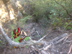 Size: 1024x765 | Tagged: safe, artist:didgereethebrony, cinder glow, summer flare, kirin, pony, g4, australia, blue mountains, fallen tree, irl, kirin in real life, megalong valley, mlp in australia, photo, ponies in real life, solo, tree, valley