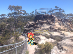 Size: 1024x765 | Tagged: safe, artist:didgereethebrony, sunset shimmer, pony, equestria girls, g4, australia, blue mountains, cliff, equestria girls in real life, fence, irl, lookout, mlp in australia, photo, ponies in real life, scared, solo, tree