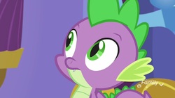 Size: 1920x1080 | Tagged: safe, screencap, spike, dragon, father knows beast, g4, discovery family logo, male, solo, winged spike, wings