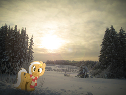 Size: 4608x3456 | Tagged: safe, artist:naijiwizard, artist:potato22, edit, oc, oc only, oc:mareota, pegasus, pony, clothes, cutie mark, female, forest, happy, irl, looking at you, mare, photo, photoshop, ponies in real life, russia, scarf, shading, sky, smiling, snow, solo, sun, winter