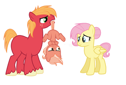 Size: 1608x1084 | Tagged: safe, artist:eclipsedesert, big macintosh, fluttershy, oc, earth pony, pegasus, pony, g4, alternate hairstyle, annoyed, colt, crossed hooves, family, female, freckles, male, mare, missing accessory, missing cutie mark, offspring, parent:big macintosh, parent:fluttershy, parents:fluttermac, ship:fluttermac, shipping, simple background, stallion, straight, tail, tail pull, unshorn fetlocks, upside down, white background