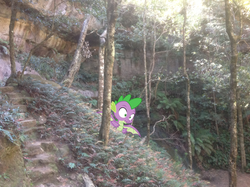 Size: 1024x765 | Tagged: safe, artist:didgereethebrony, spike, dragon, pony, g4, australia, didgeree collection, irl, mlp in australia, photo, ponies in real life, solo, surprised, tree, winged spike, wings