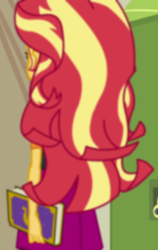 Size: 682x1078 | Tagged: safe, screencap, sunset shimmer, equestria girls, equestria girls series, forgotten friendship, g4, cropped, female, solo