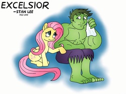 Size: 1024x765 | Tagged: safe, fluttershy, pony, g4, duo, excelsior, in memoriam, looking at each other, looking sideways, rest in peace, sad, sitting, stan lee, the incredible hulk