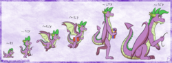 Size: 1024x377 | Tagged: safe, artist:inuhoshi-to-darkpen, spike, dragon, g4, adult, adult spike, age progression, baby, baby dragon, book, crawling, evolution, fangs, flying, growth chart, older, older spike, paper, profile, quill, simple background, sitting up, smiling, teenage spike, teenager, walking, winged spike, wings, younger