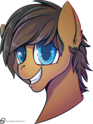 Size: 1024x1360 | Tagged: safe, artist:obscuredragone, oc, oc only, oc:wiley waves, pony, bust, glowing eyes, simple background, solo, transparent background