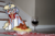 Size: 400x267 | Tagged: safe, artist:nootaz, oc, oc only, oc:nootaz, pony, floppy ears, food, glass, irl, pasta, photo, ponies in real life, solo, spaghetti, stairs, wine glass