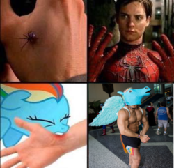 Size: 351x338 | Tagged: safe, edit, rainbow dash, human, pony, spider, g4, biting, clothes, cosplay, costume, dank memes, fake wings, funny, funny as hell, hand, hoers mask, insane troll logic, irl, irl human, male, mask, meme, not salmon, peter parker, photo, spider-man, tobey maguire, transformation, wat