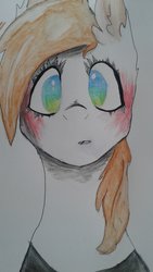 Size: 1152x2048 | Tagged: safe, artist:syntonic, oc, oc only, oc:sooty sunshine, pony, ear fluff, solo, traditional art