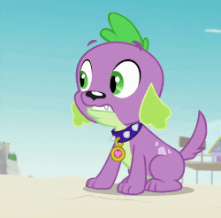 Size: 800x788 | Tagged: safe, screencap, spike, spike the regular dog, dog, equestria girls, equestria girls series, forgotten friendship, g4, animated, can, cropped, dog food, drone, eating, gif, male, paws