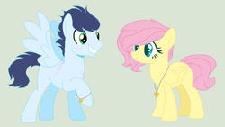 Size: 815x461 | Tagged: safe, artist:applespaceart, fluttershy, soarin', g4, female, male, shipping, soarinshy, straight