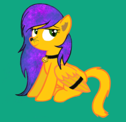 Size: 970x934 | Tagged: safe, oc, oc only, oc:bound cloud, cat pony, original species, bound wings, cat tail, collar, hooves, purple hair, simple background, solo