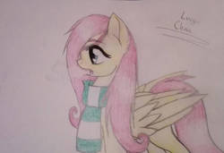 Size: 1024x700 | Tagged: safe, artist:enviaart, fluttershy, pony, g4, clothes, female, scarf, solo, traditional art