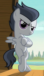 Size: 336x573 | Tagged: safe, screencap, rumble, pegasus, pony, g4, marks and recreation, badass, bipedal, colt, cropped, crossed arms, crossed hooves, gangsta, hooves, male, smiling, solo, standing, stupid sexy rumble, wings