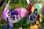 Size: 5120x3360 | Tagged: safe, artist:darksly, boulder (g4), maud pie, winter flame, kirin, pony, g4, detailed, female, mare, mouth hold, semi-realistic
