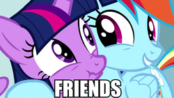 Size: 1920x1080 | Tagged: safe, edit, edited screencap, screencap, rainbow dash, twilight sparkle, alicorn, pegasus, pony, totally legit recap, g4, female, friends, image macro, just friends, mare, meme, scrunchy face, text, twilight sparkle (alicorn), uncomfortable