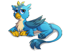 Size: 1753x1240 | Tagged: dead source, safe, artist:kaliner123, gallus, griffon, g4, male, paw pads, paws, prone, simple background, solo, transparent background, underpaw