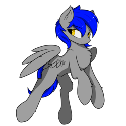 Size: 1800x1800 | Tagged: safe, artist:llhopell, oc, oc only, oc:hope(llhopell), pony, male, simple background, solo, white background