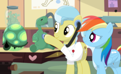Size: 1145x698 | Tagged: safe, artist:porygon2z, doctor fauna, rainbow dash, tank, earth pony, pegasus, pony, reptile, tortoise, g4, check-up, examining table, female, listening, mare, no shell, shell, show accurate, stethoscope, vet