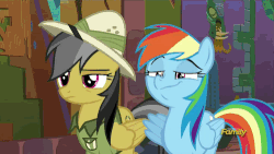 Size: 500x281 | Tagged: safe, edit, edited screencap, screencap, daring do, rainbow dash, g4, stranger than fan fiction, animated, caption, confused, disapproval, discovery family logo, faic, female, gif, gif with captions, meme, rainbow dash is best facemaker, relevant to my interests, smug, smugdash
