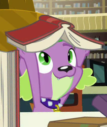 Size: 328x389 | Tagged: safe, screencap, spike, spike the regular dog, dog, equestria girls, equestria girls specials, g4, my little pony equestria girls: better together, my little pony equestria girls: forgotten friendship, book, cute, male, smiling, spikabetes