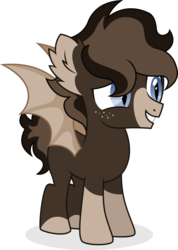 Size: 1600x2241 | Tagged: safe, artist:cirillaq, oc, oc only, oc:onyx, bat pony, pony, colt, male, simple background, solo, transparent background, vector