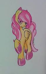 Size: 598x960 | Tagged: safe, artist:matmax426, oc, oc only, pegasus, pony, female, mare, solo