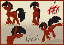 Size: 3507x2480 | Tagged: safe, artist:tatemil, oc, oc only, oc:eddie, pony, angry, high res, reference sheet, unshorn fetlocks