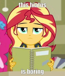 Size: 720x842 | Tagged: safe, edit, editor:axal-5, screencap, pinkie pie, sunset shimmer, equestria girls, equestria girls series, g4, the finals countdown, bored, caption, cropped, hiatus, image macro, solo focus, sunset shimmer is not amused, text, text edit, unamused