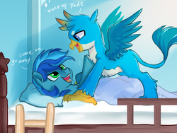 Size: 1024x768 | Tagged: safe, artist:oofycolorful, gallus, oc, griffon, pony, g4, bed, covers, ladder, male, stallion