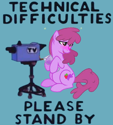 Size: 388x432 | Tagged: safe, berry punch, berryshine, g4, blushing, camera, drunk, male, please stand by, technical difficulties, text, the simpsons