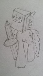 Size: 2322x4128 | Tagged: safe, artist:thistledsky, pony, alcohol, bottle, paper bag, pencil, ponified, server mascot