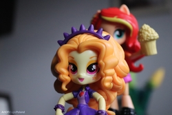 Size: 6000x4000 | Tagged: safe, artist:artofmagicpoland, adagio dazzle, sunset shimmer, equestria girls, g4, cider, doll, equestria girls minis, eqventures of the minis, female, irl, meme, photo, tankard, toy