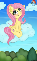 Size: 1350x2200 | Tagged: safe, artist:freefraq, fluttershy, rainbow dash, pegasus, pony, g4, cloud, cute, duo, female, mare, shyabetes, sitting, sitting on a cloud, sneaky